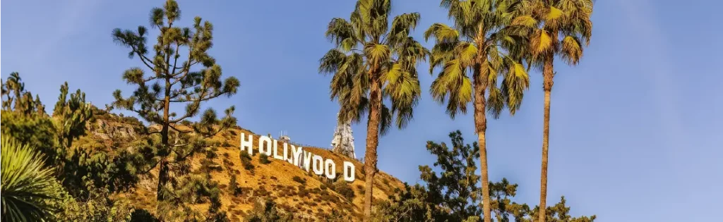 Iconic Hollywood sign on a hillside with tall palm trees in the foreground against a clear blue sky.