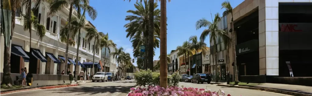 Street lined with palm trees and flowering plants in the center divider, flanked by buildings with storefronts under a clear blue sky.